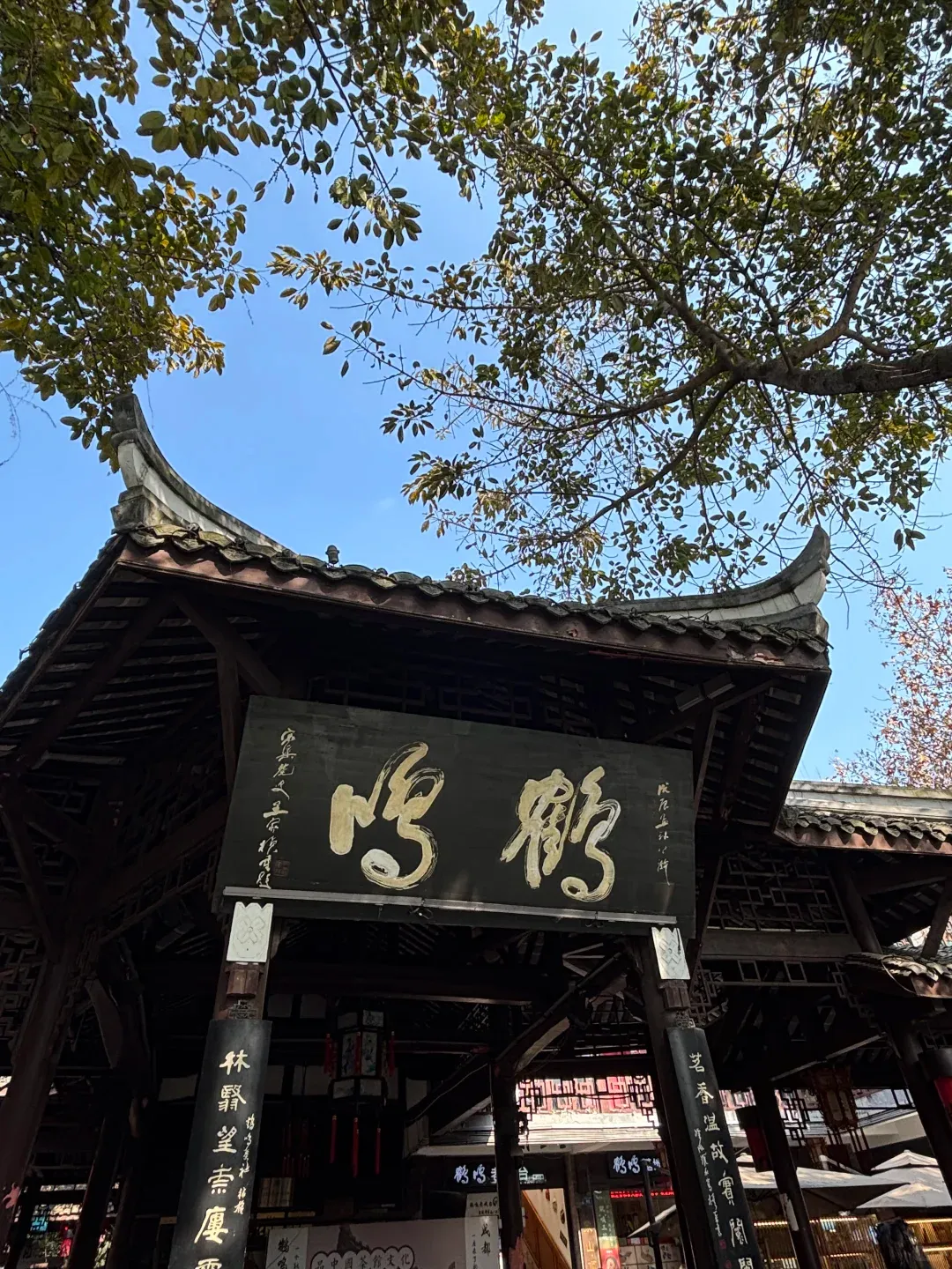 Bamboo chairs and covered cups of jasmine tea at Heming Tea House in People's Park — the heart of Chengdu's 1,000-year-old tea culture